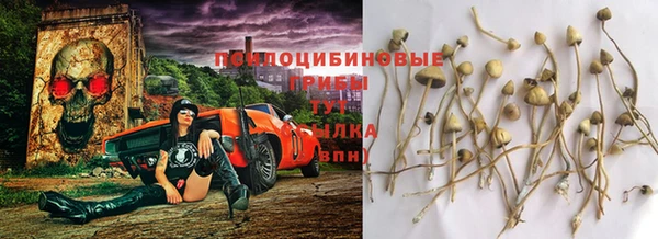 амфетамин Алексеевка