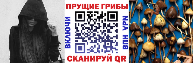 Галлюциногенные грибы Psilocybine cubensis  Краснотурьинск 