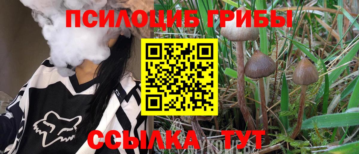 Псилоцибиновые грибы Magic Shrooms  Вход с VPN  Краснотурьинск 