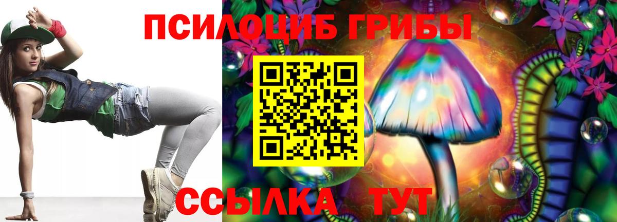 Галлюциногенные грибы Psilocybine cubensis Краснотурьинск